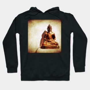 Enlighten Me Hoodie